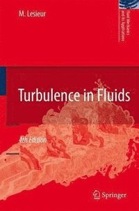 bokomslag Turbulence in Fluids