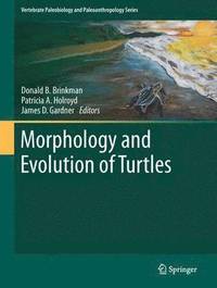 bokomslag Morphology and Evolution of Turtles