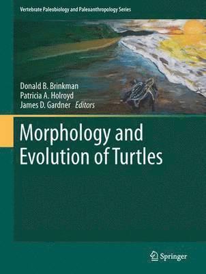 bokomslag Morphology and Evolution of Turtles