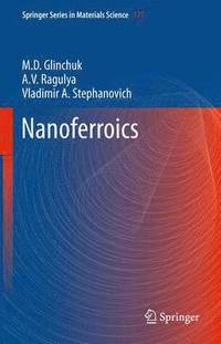 bokomslag Nanoferroics
