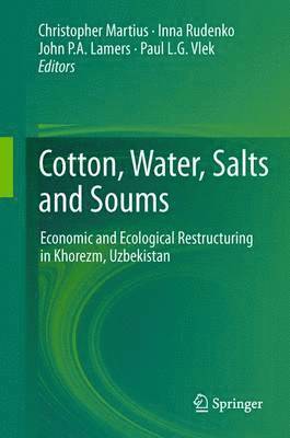 bokomslag Cotton, Water, Salts and Soums