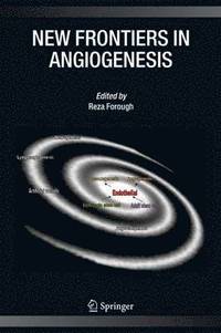 bokomslag New Frontiers in Angiogenesis