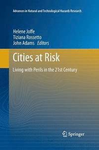bokomslag Cities at Risk