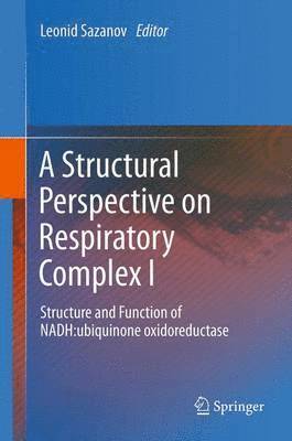 bokomslag A Structural Perspective on Respiratory Complex I