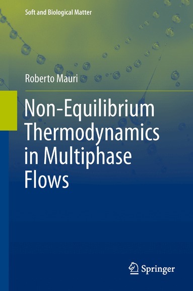 Roberto Mauri - Non-Equilibrium Thermodynamics in Multiphase Flows, Häftad