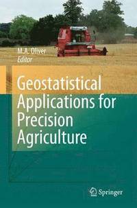 bokomslag Geostatistical Applications for Precision Agriculture