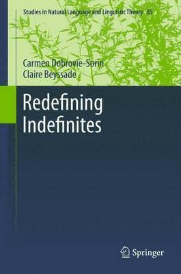 Redefining Indefinites 1