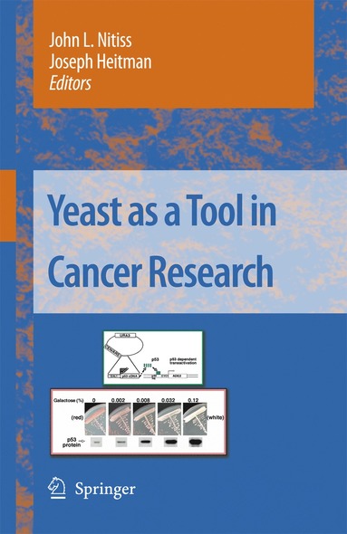 bokomslag Yeast as a Tool in Cancer Research