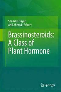 bokomslag Brassinosteroids: A Class of Plant Hormone