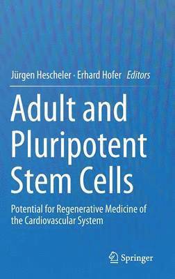 bokomslag Adult and Pluripotent Stem Cells