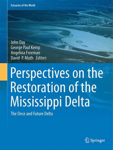 bokomslag Perspectives on the Restoration of the Mississippi Delta