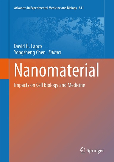 David G. Capco, Yongsheng Chen - Nanomaterial, Inbunden