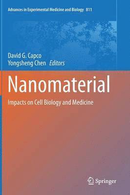 David G. Capco, Yongsheng Chen - Nanomaterial, Inbunden