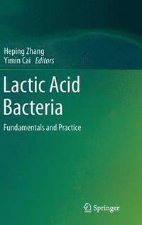 bokomslag Lactic Acid Bacteria