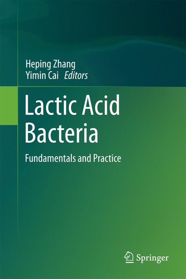 bokomslag Lactic Acid Bacteria