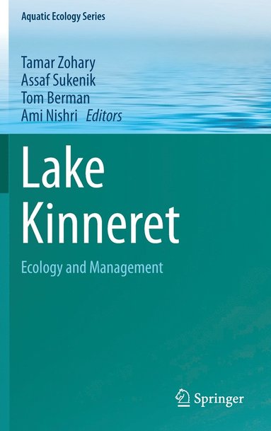 bokomslag Lake Kinneret
