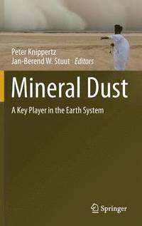 bokomslag Mineral Dust