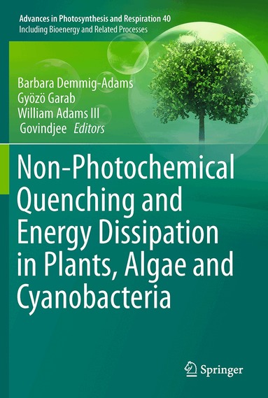 Barbara Demmig-Adams, Gyozo Garab, William Adams III, Govindjee - Non-Photochemical Quenching and Energy Dissipation in Plants, Algae and Cyanobacteria, Inbunden