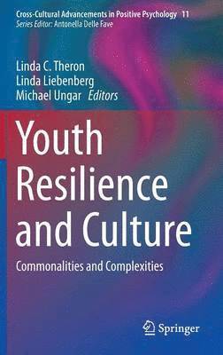 bokomslag Youth Resilience and Culture