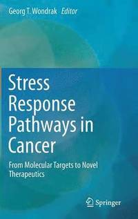 bokomslag Stress Response Pathways in Cancer