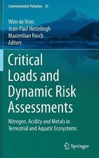 bokomslag Critical Loads and Dynamic Risk Assessments