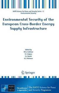 bokomslag Environmental Security of the European Cross-Border Energy Supply Infrastructure