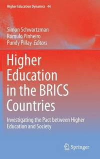 bokomslag Higher Education in the BRICS Countries