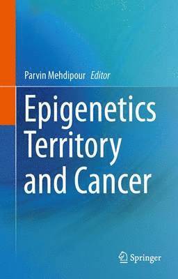 Epigenetics Territory and Cancer 1