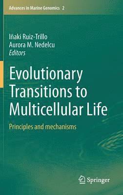 Evolutionary Transitions to Multicellular Life