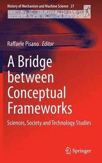 bokomslag A Bridge between Conceptual Frameworks