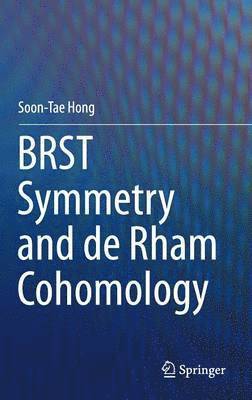 BRST Symmetry and de Rham Cohomology