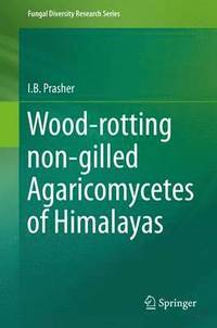 bokomslag Wood-rotting non-gilled Agaricomycetes of Himalayas