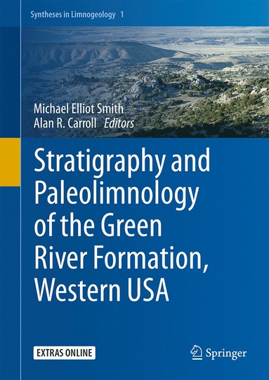 bokomslag Stratigraphy and Paleolimnology of the Green River Formation, Western USA