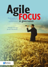 bokomslag Agile Focus In Governance