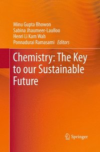 bokomslag Chemistry: The Key to our Sustainable Future