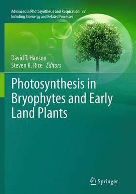 bokomslag Photosynthesis in Bryophytes and Early Land Plants