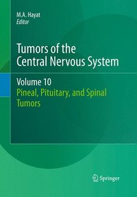 bokomslag Tumors of the Central Nervous System, Volume 10
