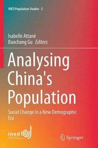 bokomslag Analysing China's Population