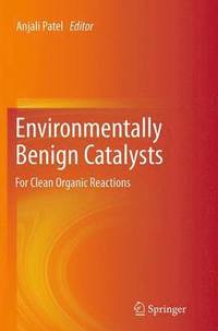 bokomslag Environmentally Benign Catalysts