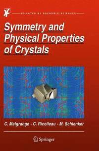 bokomslag Symmetry and Physical Properties of Crystals