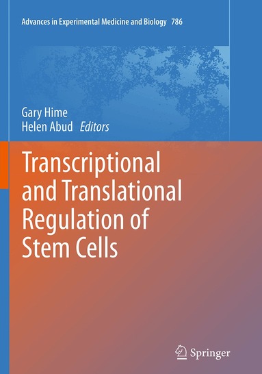 Gary Hime, Helen Abud - Transcriptional and Translational Regulation of Stem Cells, Häftad