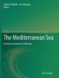 bokomslag The Mediterranean Sea