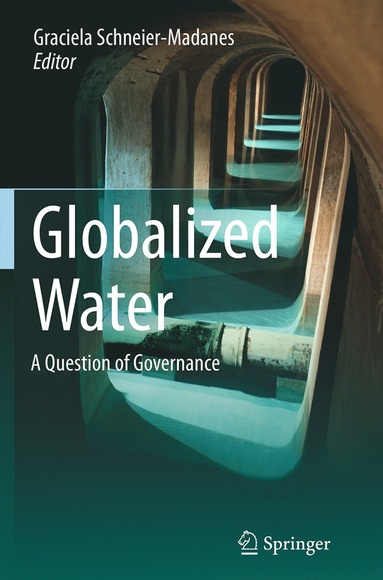 bokomslag Globalized Water