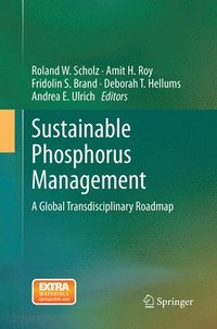 bokomslag Sustainable Phosphorus Management