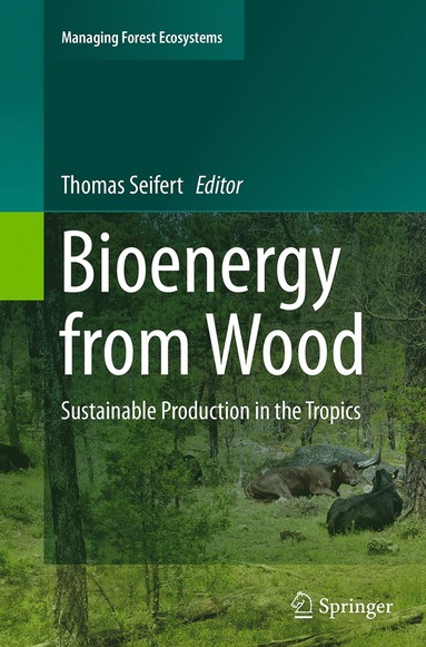 bokomslag Bioenergy from Wood