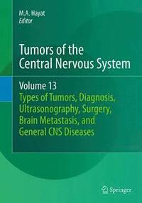 bokomslag Tumors of the Central Nervous System, Volume 13