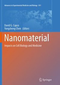 bokomslag Nanomaterial