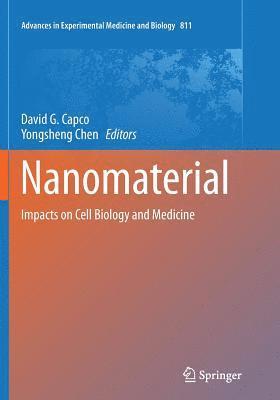 David G. Capco, Yongsheng Chen - Nanomaterial, Häftad. Tillgänglighet: Lägg i varukorg