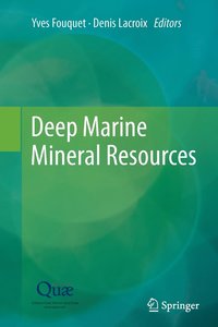 bokomslag Deep Marine Mineral Resources