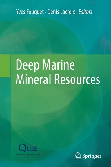 bokomslag Deep Marine Mineral Resources